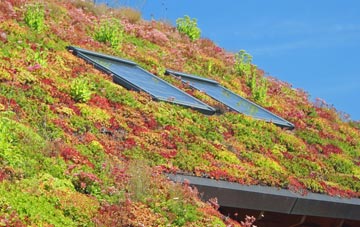 Jedburgh living roof systems